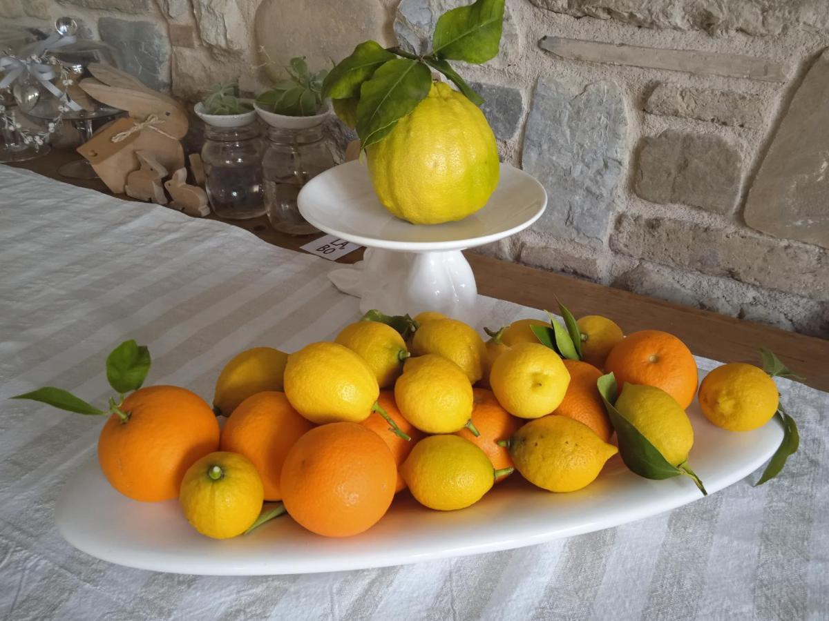Bed and Breakfast Il Fienile Fagagna Exterior foto